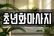 초년화마사지
