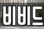 비비드