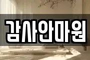 감사안마원