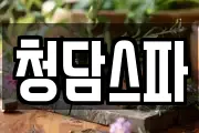 청담스파