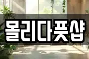 몰리다풋샵