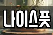 나이스풋