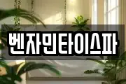 벤자민타이스파