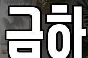 금하