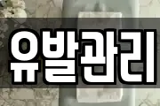 유발관리