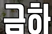 금하