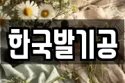한국발기공