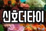 신호더타이