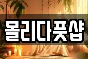 몰리다풋샵