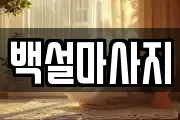 부산광역시 강서구 지사동 마사지, 지압등 업체정보