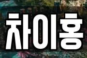 차이홍