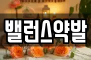 밸런스약발