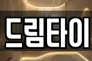 드림타이