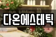다온에스테틱
