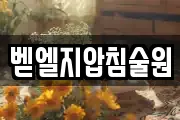 벧엘지압침술원