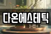 다온에스테틱