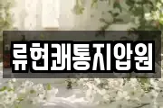 류현쾌통지압원