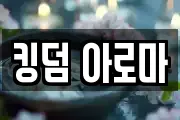 킹덤 아로마