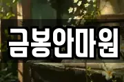 금봉안마원