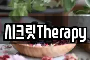 시크릿Therapy