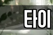 샾타이