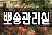 뽀송관리실