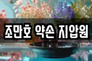 조만호 약손 지압원