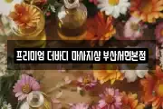 프리미엄 더바디 마사지샵 부산서면본점
