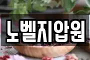 노벨지압원