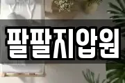 팔팔지압원