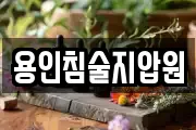 용인침술지압원