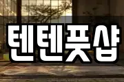 텐텐풋샵