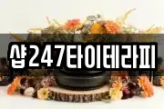 샵247타이테라피
