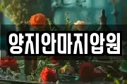 양지안마지압원