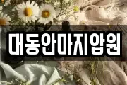 대동안마지압원
