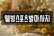웰빙스포츠발마사지