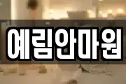 예림안마원
