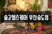 부산광역시 서구 암남동 마사지, 지압등 업체정보