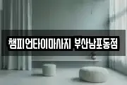 부산광역시 서구 토성동5가 마사지, 지압등 업체정보