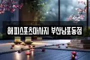 부산광역시 서구 마사지, 지압등 업체정보