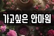 가고싶은 안마원