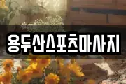 용두산스포츠마사지