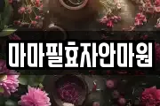 마마필효자안마원