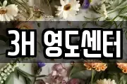 3H 영도센터