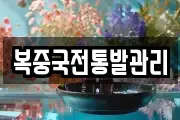 복중국전통발관리
