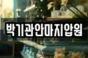 박기관안마지압원