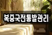 복중국전통발관리