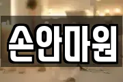 손안마원