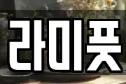 라미풋