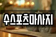 수스포츠마사지